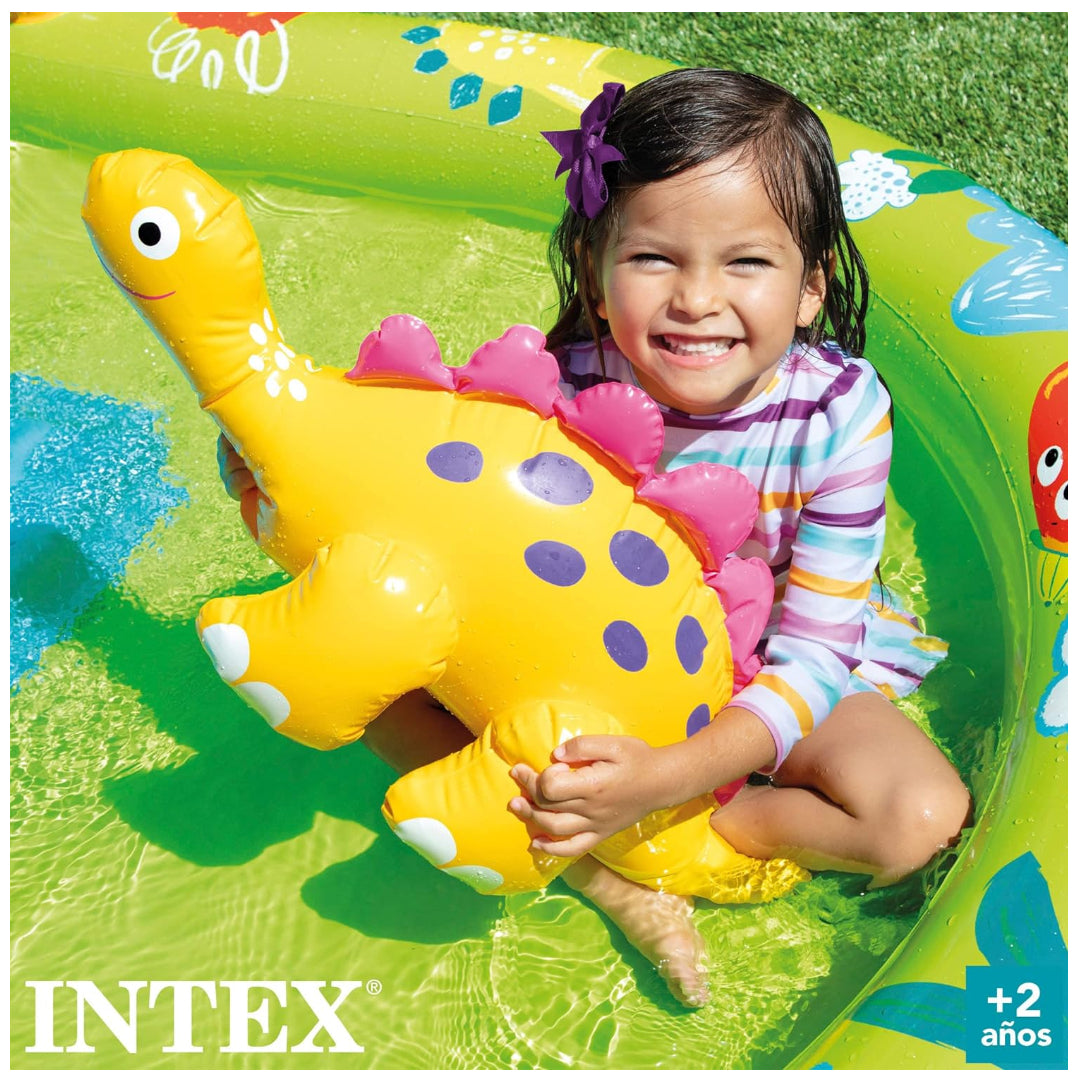 INTEX 57166