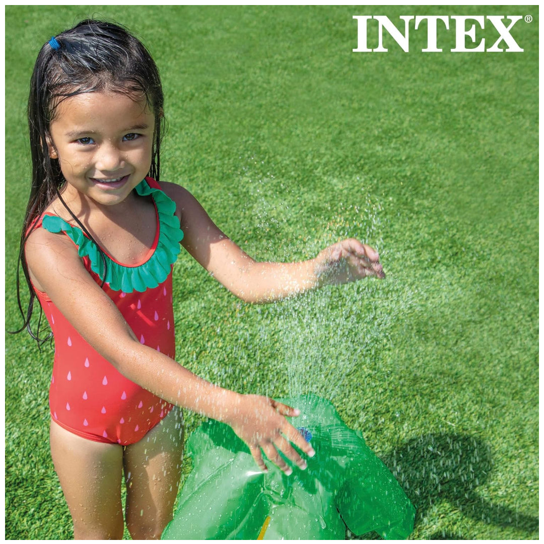 INTEX 57166