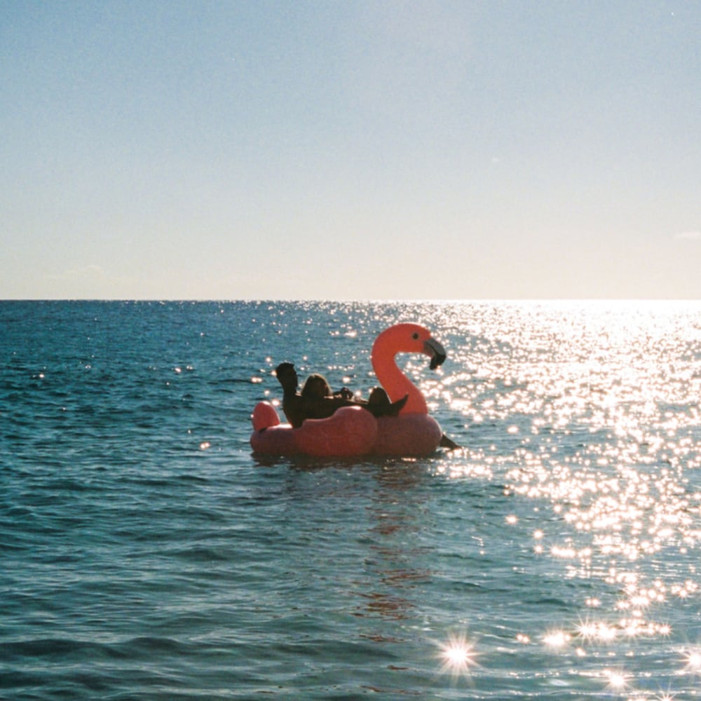 Flotador Flamenco Gigante Inflable INTEX 203 x 196 x 124 cm