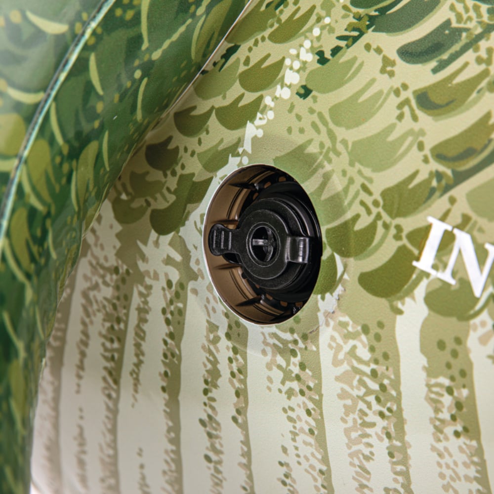 Dinosaurio Inflables INTEX para Juego al Aire Libre