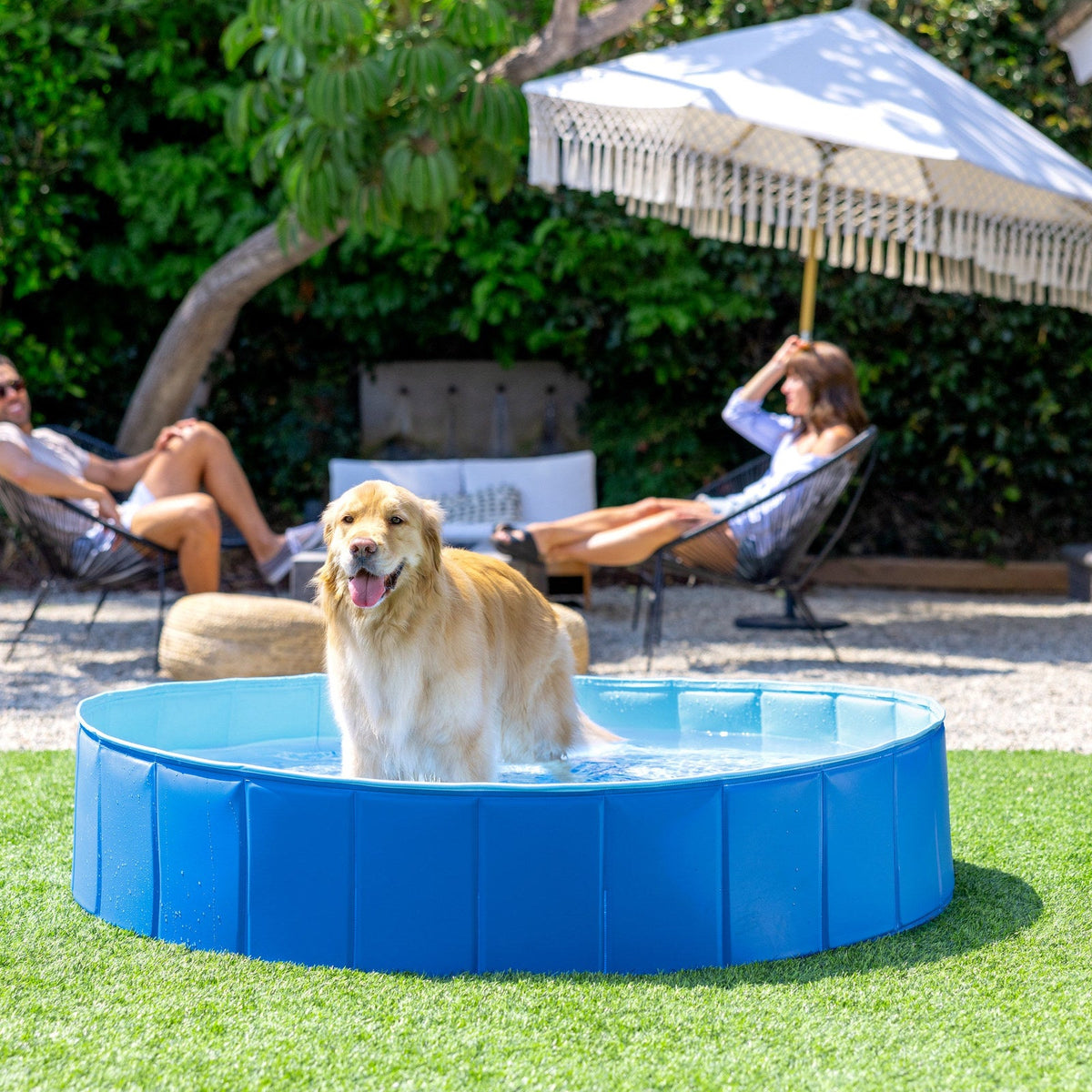 Piscina Plegable INTEX para Mascotas 152 x 30 cm - en uso 2