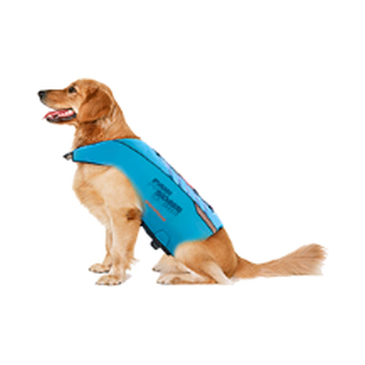 Perro usando chaleco salvavidas Aquatone Pawsome azul