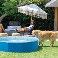 Piscina Plegable INTEX para Mascotas 152 x 30 cm - en uso