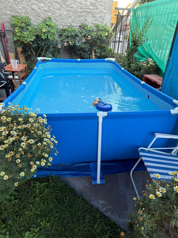 Piscina estructural azul INTEX instalada en un jardín con flores amarillas